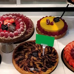 Plastična Igla z nosilcem za prikaz cene - 100 mm