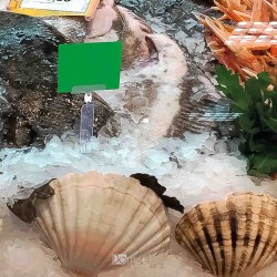 Plastična Igla za led